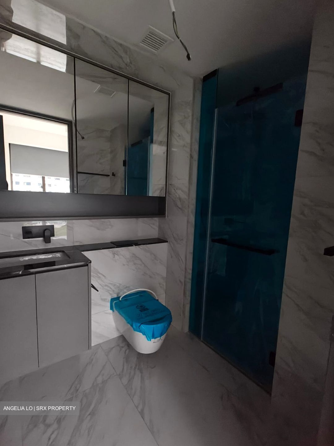 The Landmark (D3), Condominium #512679221